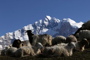 Khopra Ridge Trek