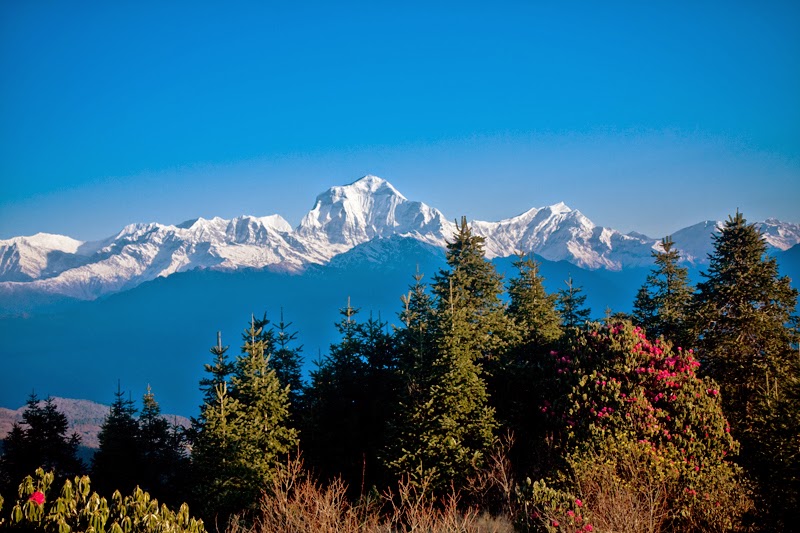 Annapurna Panorama Trekking