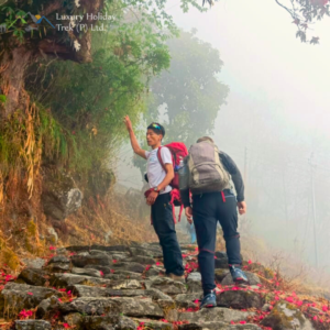 PoonHill Luxury Trek